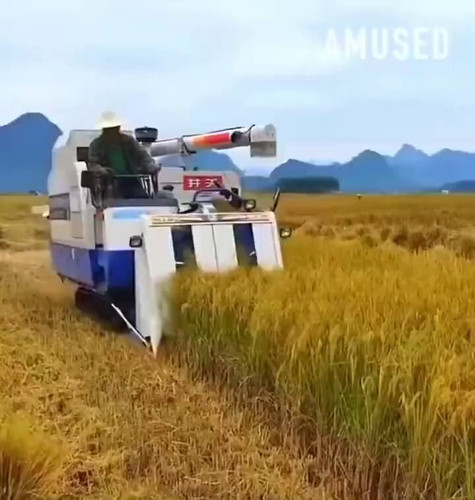 eq3fIqvMSf4 DZDb.jpg