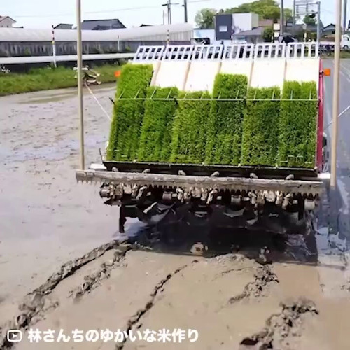 PMa04 ShYVLKJIGb.jpg