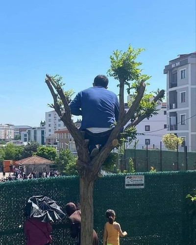 447403144 773266488315686 5684049653282483349 n.jpg?stp=dst jpg s640x640& nc cat=101&ccb=1 7& nc sid.jpg