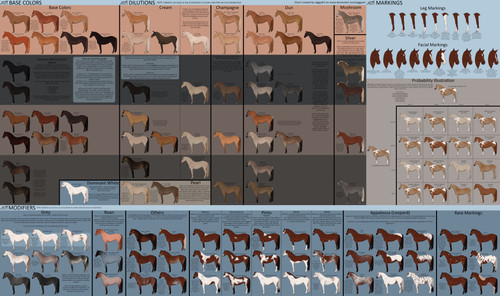 Genetics Chart 2.jpg