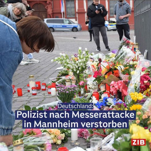 447305934 848918013950419 5159477353016966238 n.jpg?stp=dst jpg p526x296& nc cat=109&ccb=1 7& nc sid.jpg