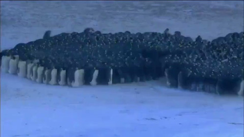 Kwe7sEIqsOn8ytF .jpg