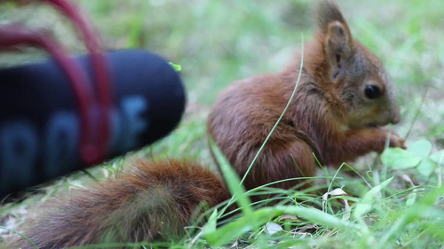 Xap VlD7uJ7TJXGJ.jpg