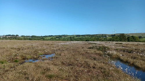 Q Mp6Tx9SHRDhm s.jpg