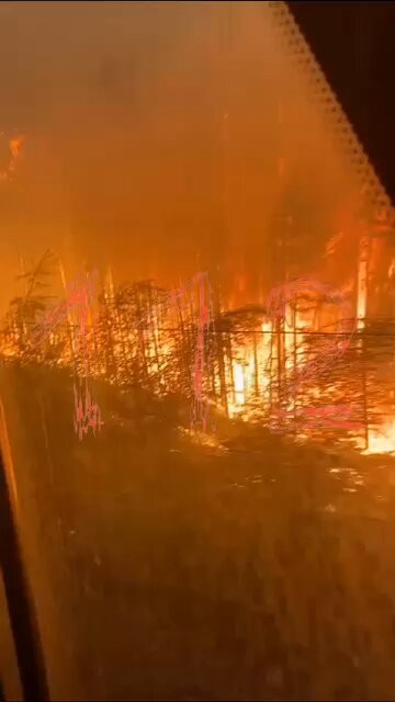 XscHL R4Wk9k3f 5.jpg