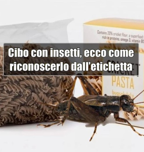 441875560 1015227246631985 915394019778623771 n.jpg? nc cat=101&ccb=1 7& nc sid=5f2048& nc ohc=c8oMg.jpg
