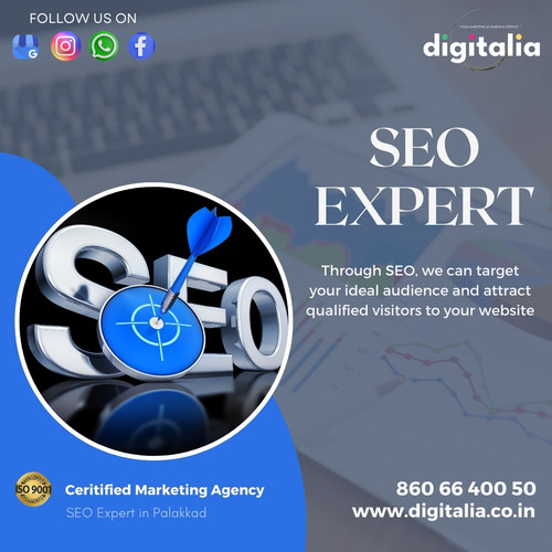 SEO Expert in Palakkad 3.jpg