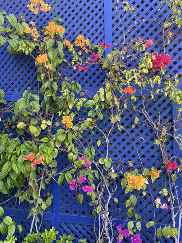 GPIKlVPXsAA z3T?format=jpg.jpg