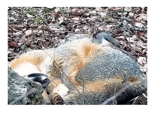 PJGnTk3 EamujQt1.jpg