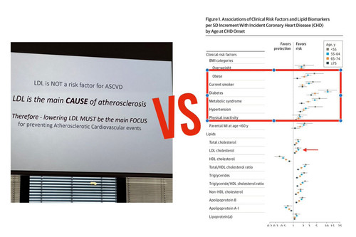 GO uLMcW8AEJYir?format=jpg.jpg