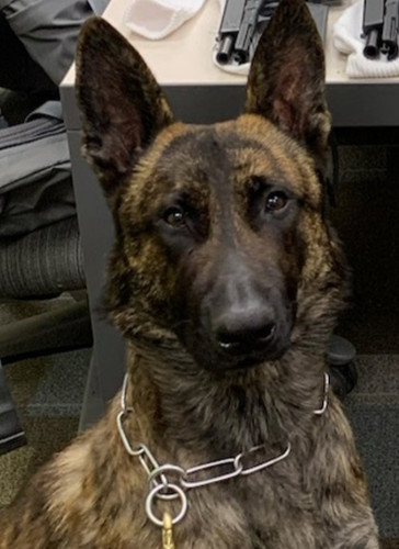 GO BvmSXAAA146k?format=jpg.jpg