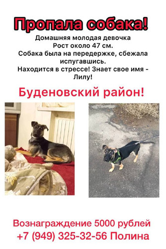 lqevX gTz8z1hvhQtWExuUEdzLJoCbqZT3M0YO9kEKEhYvOqpcO2j 1awTIxEy9lfEAgI4nKqfs UejMz89aSSIZYGPbNcRyFo4t.jpg