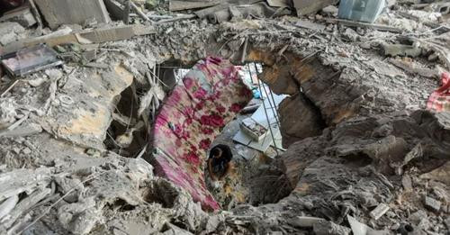 17842872462211774544?url=https%3A%2F%2Fmedia.oranews.tv%2Foranews.tv%2Fmedia3%2F 1200 630 02d2dc9888.jpg