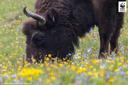 a5Rl0z6ec80hcQEpTGcGpA7q17f3Ai5aUPd HqDyg0iWJkfb sxwHoyaj4hJVTgxGwHUqsl7EZiAU0J7du8uedbI6RC1yMRSbNQ9.jpg