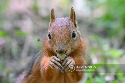 445488088 859439996226831 8584784824816027328 n.jpg?stp=dst jpg p526x395& nc cat=106&ccb=1 7& nc sid.jpg