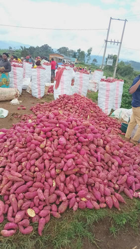 GPDL s2WoAASnDV?format=jpg.jpg