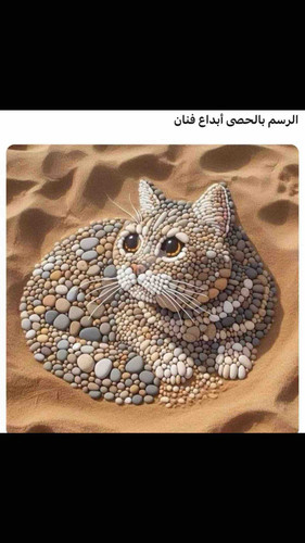 4302F775 11E8 4CE4 A962 32AE2CAA8585.jpg