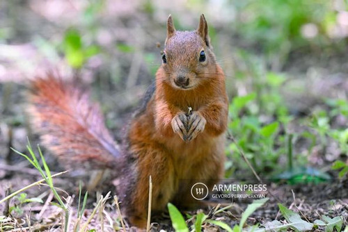 447281610 859439946226836 1698101689240090445 n.jpg?stp=dst jpg p526x395& nc cat=105&ccb=1 7& nc sid.jpg