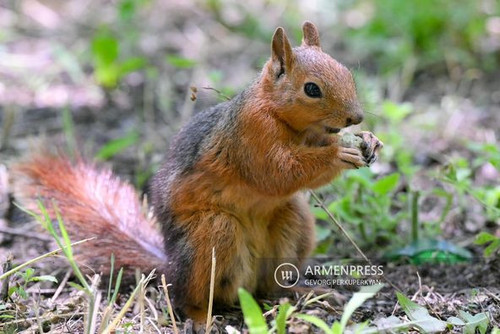 446793681 859439969560167 6227268927648925150 n.jpg?stp=dst jpg p526x395& nc cat=106&ccb=1 7& nc sid.jpg