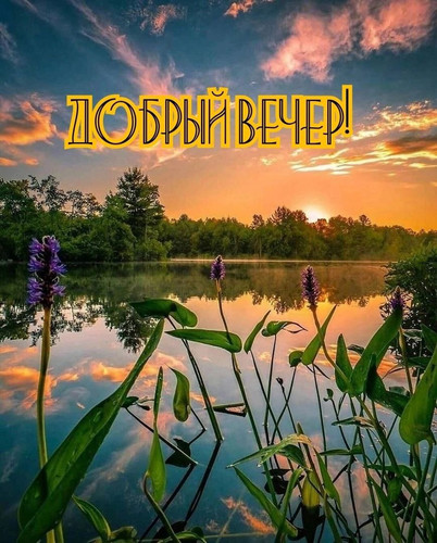 1717445492 2130209788.jpg