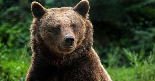 15883920989234430940?url=https%3A%2F%2Fwww.1lurer.am%2Fimages%2Fnews%2F42%2F207559%2Fl 0x0wh 786x458.jpg