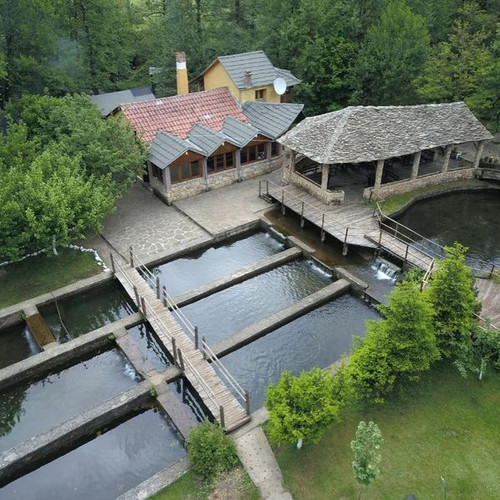 447777965 18103912636394595 8762713104723420955 n.jpg?stp=dst jpg p600x600& nc cat=106&ccb=1 7& nc s.jpg