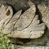 Olivet Marche bords du Loiret 84