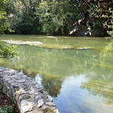 Olivet Marche bords du Loiret 81