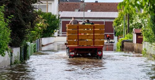 8659469736014232454?url=https%3A%2F%2Fassets.cicero.de%2Fstyles%2Fcc 980x550%2Fpublic%2F2024 06%2F46.jpg