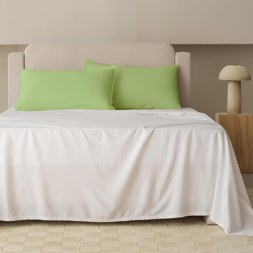 Lime Green 16.jpg