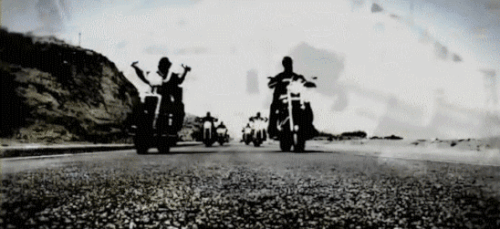 VerifiableIdealisticDoctorfish size restricted.gif