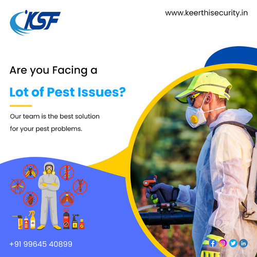 Best Pest Control Services Bangalore.jpg