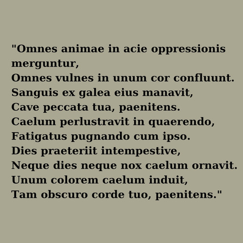  Omnes animae in acie oppressionis merguntur, Omnes vulnes in unum cor conf 20240604 062708 0000.jpg
