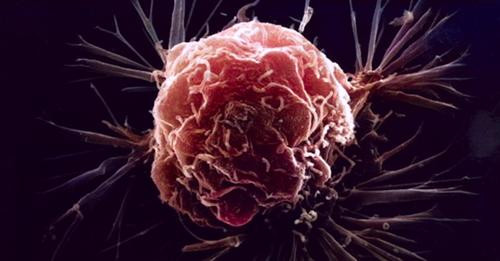 5608432545120186813?url=https%3A%2F%2Fwww.ilpost.it%2Fwp content%2Fuploads%2F2024%2F06%2F03%2F171742.jpg