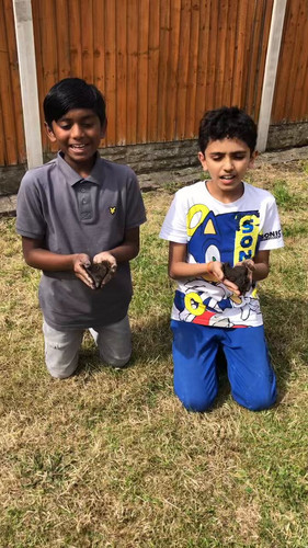 LBo3GwX mJ CtUQP.jpg