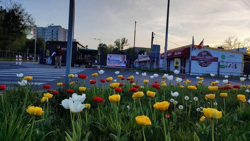 447046309 869523418333476 8457069645135624203 n.jpg?stp=dst jpg s600x600& nc cat=110&ccb=1 7& nc sid.jpg