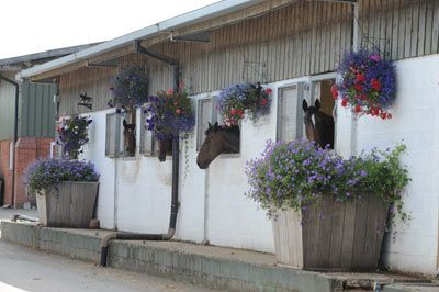 GO TDXIWwAAd088?format=jpg.jpg