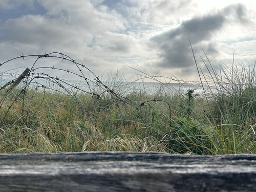 GPN34G bYAEbl6r?format=jpg.jpg