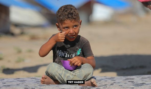 447282412 878288114333557 7366372546096194894 n.jpg?stp=dst jpg p235x350& nc cat=111&ccb=1 7& nc sid.jpg