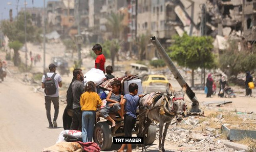 447519093 878288124333556 5122401532865601159 n.jpg?stp=dst jpg p235x350& nc cat=107&ccb=1 7& nc sid.jpg