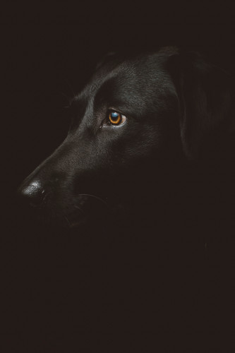 freddie marriage w39PTDxKiK8 unsplash.jpg