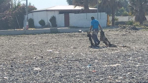 441903496 1007307934733803 5559926819702120790 n.jpg?stp=dst jpg s600x600& nc cat=104&ccb=1 7& nc si.jpg