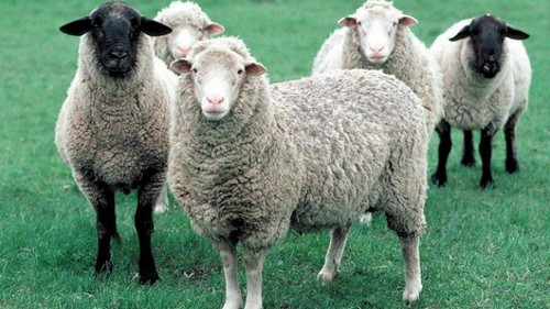 445810143 474112558399213 5038186019867197185 n.jpg? nc cat=108&ccb=1 7& nc sid=5f2048& nc ohc=Qggqw.jpg