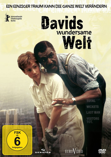 davids wundersame welt cover.jpg