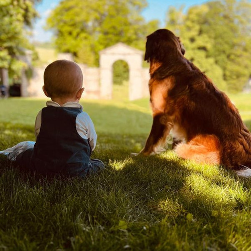 447507164 865890362224390 3448640687979585391 n.jpg?stp=dst jpg p600x600& nc cat=105&ccb=1 7& nc sid.jpg