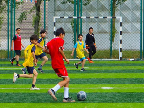 447518646 10219989009754908 4920011488935705802 n.jpg?stp=dst jpg s600x600& nc cat=104&ccb=1 7& nc s.jpg