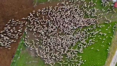 IbbnSFKWCuB sQD .jpg