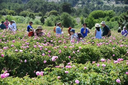 447253293 742463091431951 4091606514894932441 n.jpg?stp=dst jpg p526x395& nc cat=104&ccb=1 7& nc sid.jpg