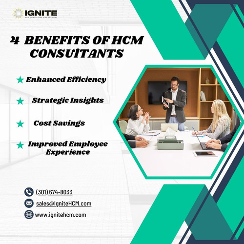 HCM consultants.jpg