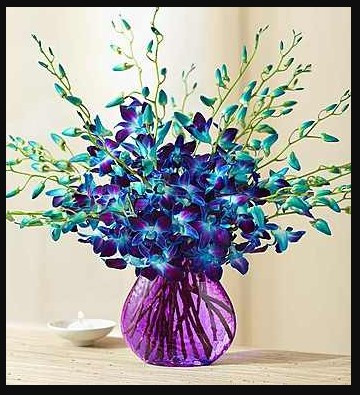 hollywood florist in los angeles.jpg